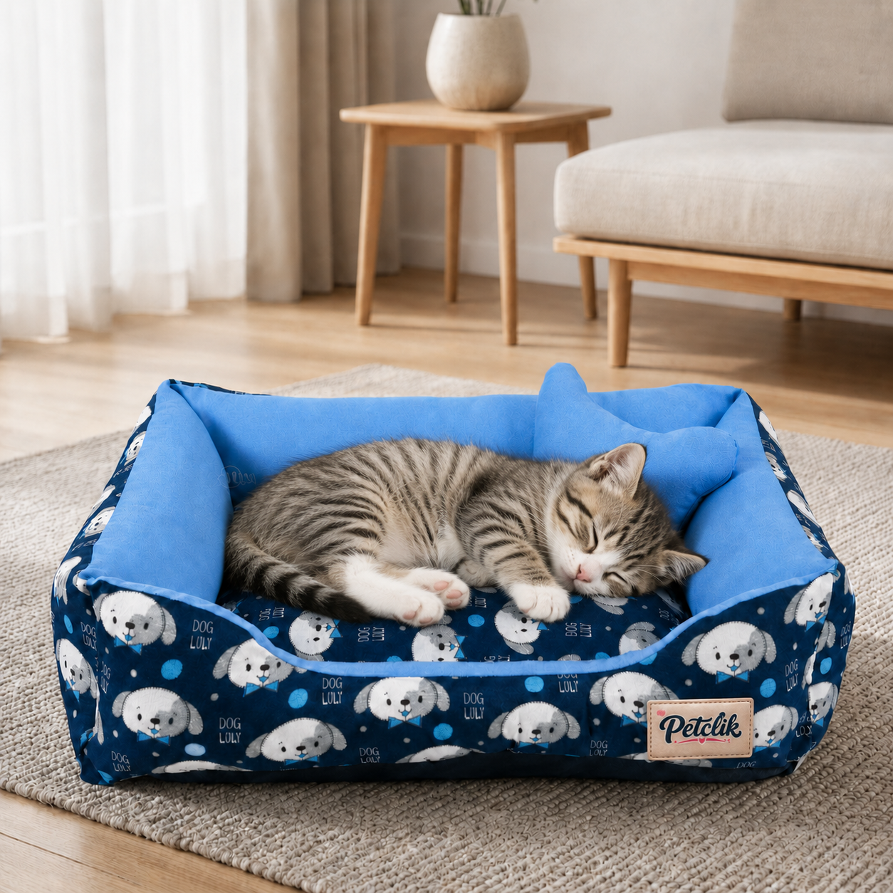 Caminha PET CAT